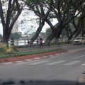 Anosy - Zebra crossing